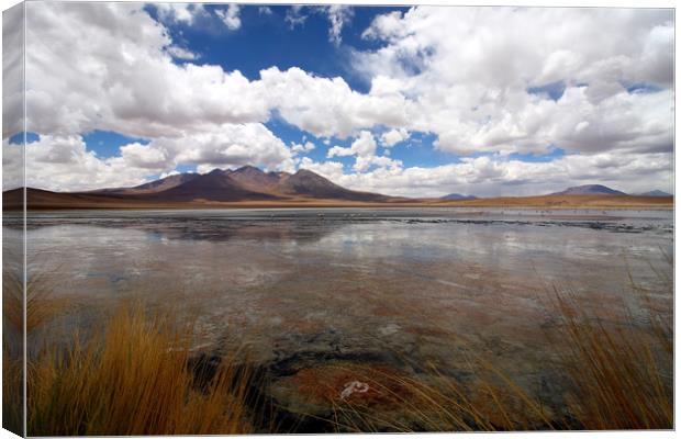 Uyuni Salt Lake, Bolivia  Canvas Print by Aidan Moran