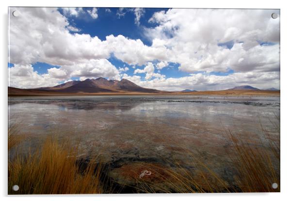 Uyuni Salt Lake, Bolivia  Acrylic by Aidan Moran