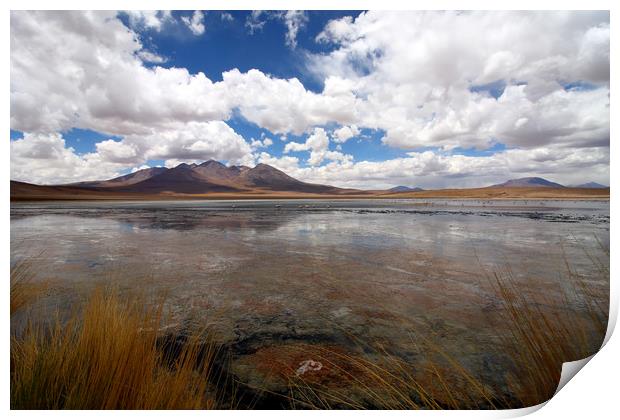 Uyuni Salt Lake, Bolivia  Print by Aidan Moran