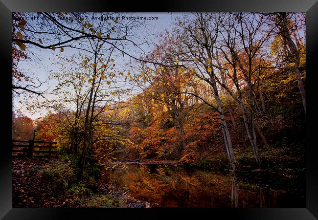 Woodland Winter Walk Framed Print by Jim Jones