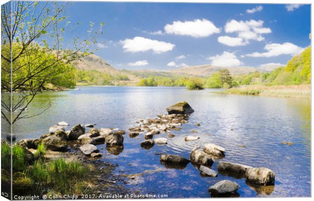 Rydal Water Canvas Print by Colin Chipp