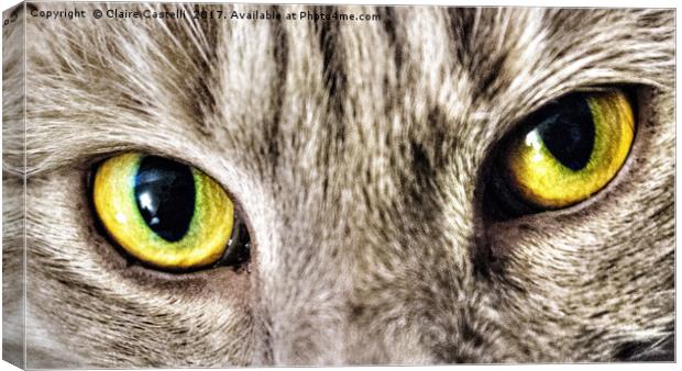 Cats eyes Canvas Print by Claire Castelli