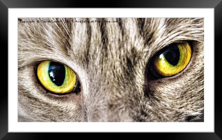 Cats eyes Framed Mounted Print by Claire Castelli