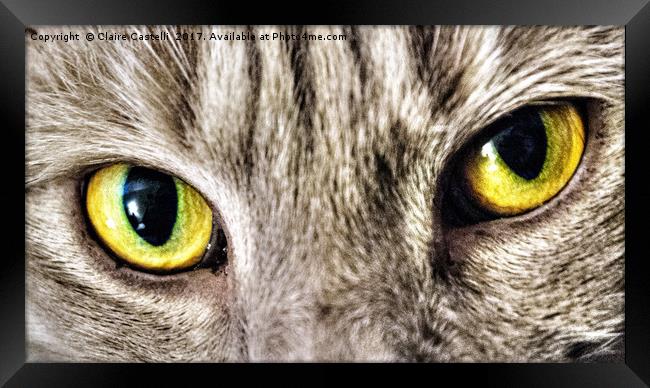 Cats eyes Framed Print by Claire Castelli