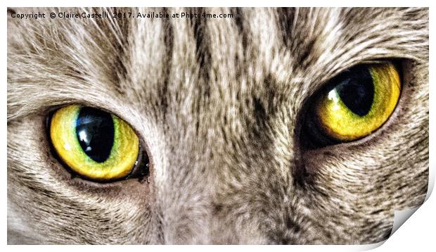 Cats eyes Print by Claire Castelli