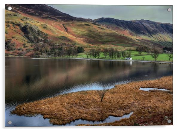 Buttermere View Acrylic by Ceri Jones