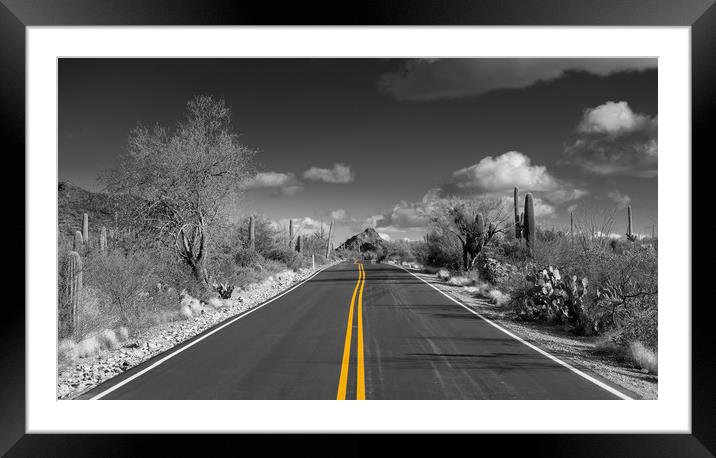 The road goes on for ever in Saguaro national park Framed Mounted Print by Steve Heap