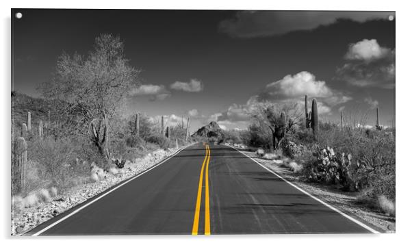The road goes on for ever in Saguaro national park Acrylic by Steve Heap