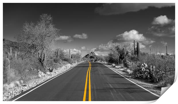 The road goes on for ever in Saguaro national park Print by Steve Heap