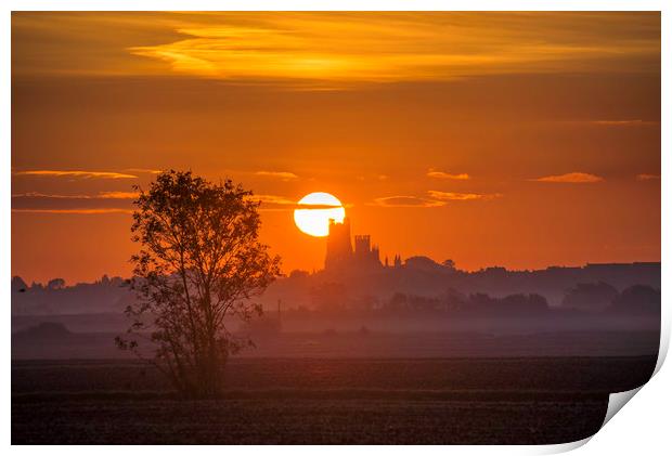 Dawn over Ely Print by Andrew Sharpe