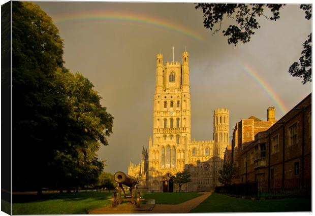 Ely Cathedral, Cambridgeshire Canvas Print by Andrew Sharpe