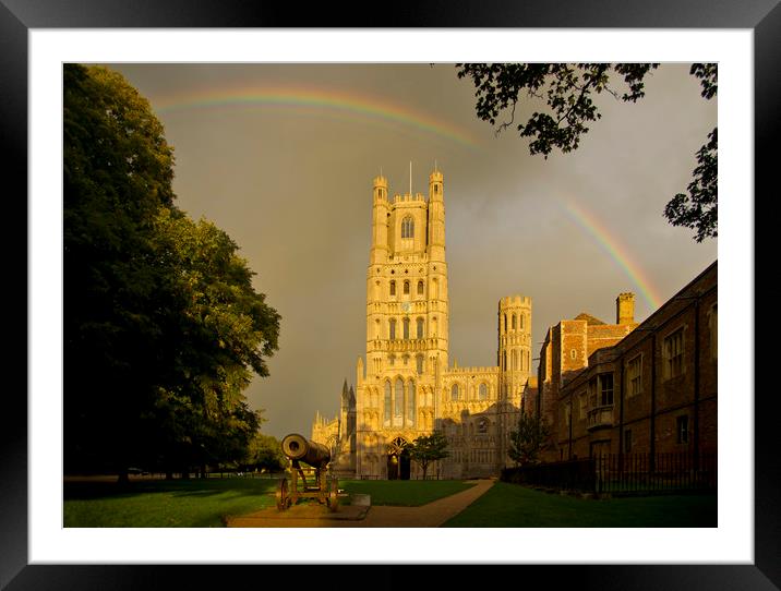 Ely Cathedral, Cambridgeshire Framed Mounted Print by Andrew Sharpe