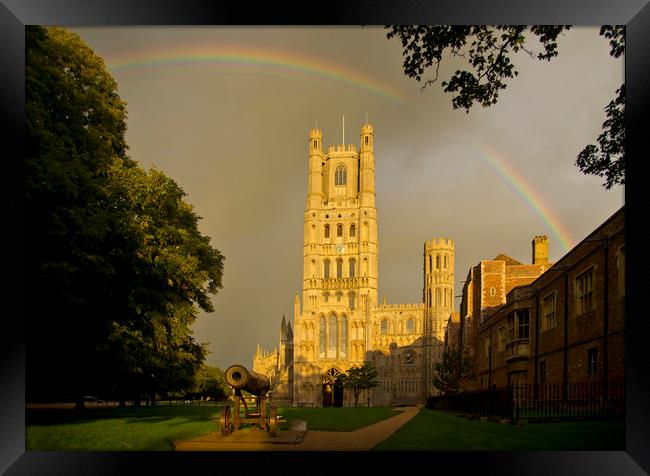 Ely Cathedral, Cambridgeshire Framed Print by Andrew Sharpe