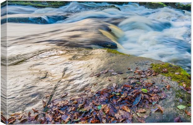 Shipley Bridge-6 Canvas Print by David Martin