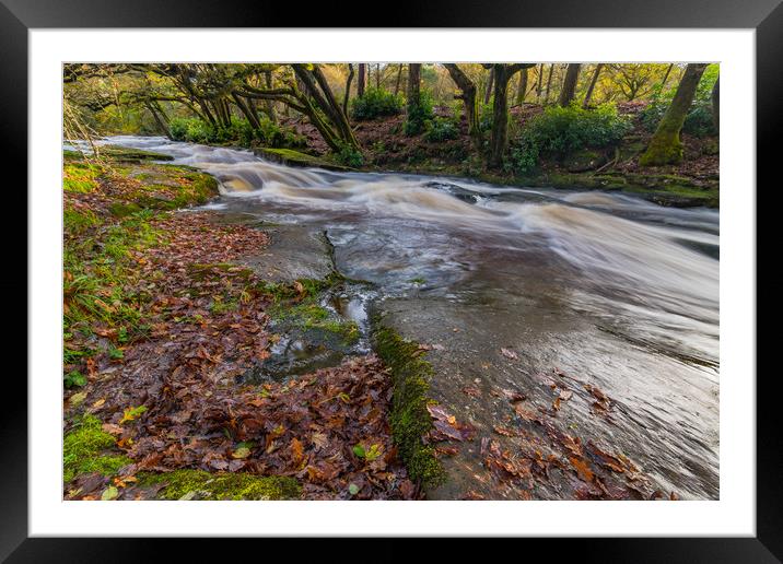 Shipley Bridge-7 Framed Mounted Print by David Martin