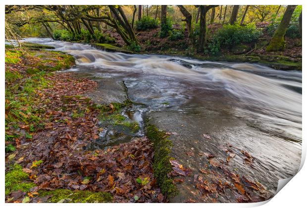 Shipley Bridge-7 Print by David Martin