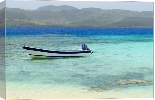 Dominican republic         Canvas Print by chris smith