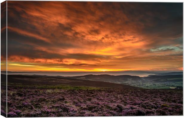 West Somerset Sunrise Canvas Print by Bob Small