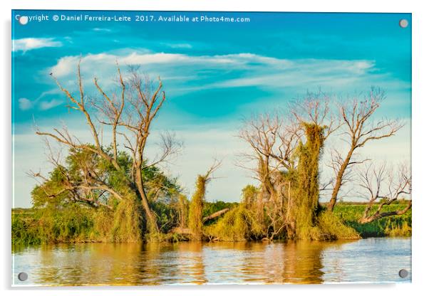 Parana River, San Nicolas, Argentina Acrylic by Daniel Ferreira-Leite