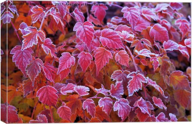 Frosty Red Leaves Canvas Print by Jenny Rainbow
