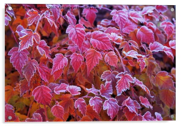 Frosty Red Leaves Acrylic by Jenny Rainbow