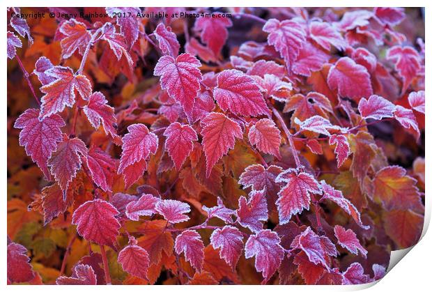 Frosty Red Leaves Print by Jenny Rainbow