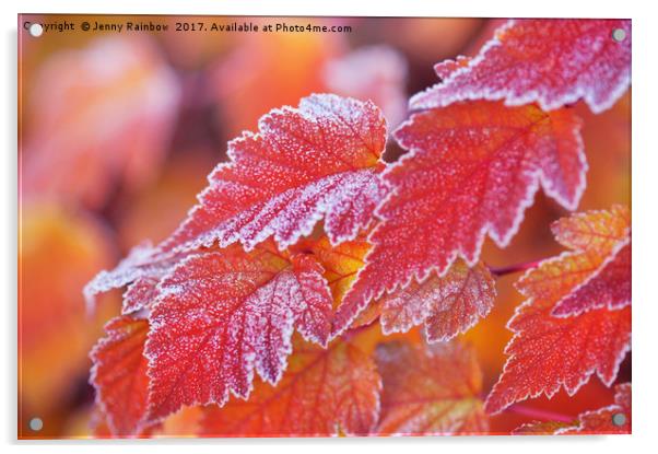 Orange colored frosted leaves of Physocarpus Acrylic by Jenny Rainbow
