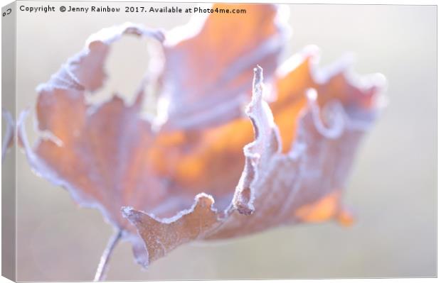 Artistic natural abstract of dry frosted maple lea Canvas Print by Jenny Rainbow