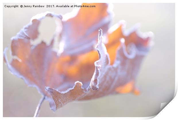 Artistic natural abstract of dry frosted maple lea Print by Jenny Rainbow