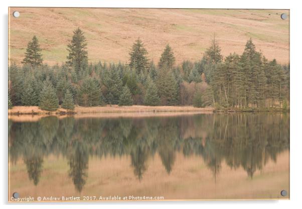 Cantref Reservoir, South Wales, UK. Acrylic by Andrew Bartlett