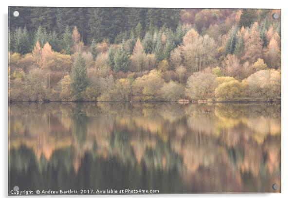 Llwyn Onn Reservoir, South Wales, UK. Acrylic by Andrew Bartlett