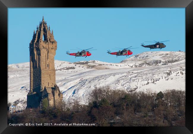 Flight of Freedom Framed Print by Eric Said