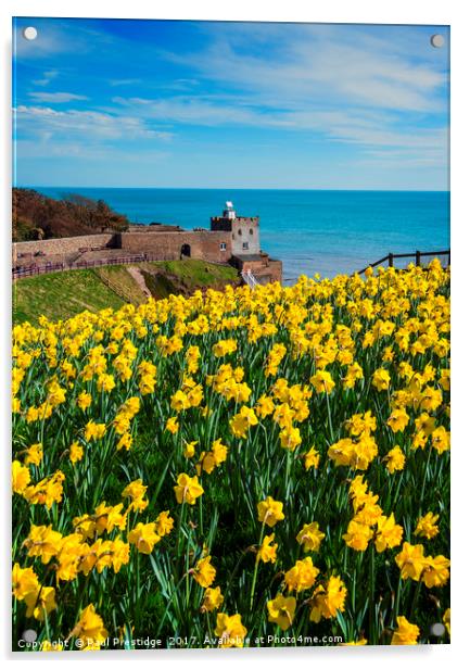 Daffodils at Sidmouth Jurassic Coast, Devon Acrylic by Paul F Prestidge