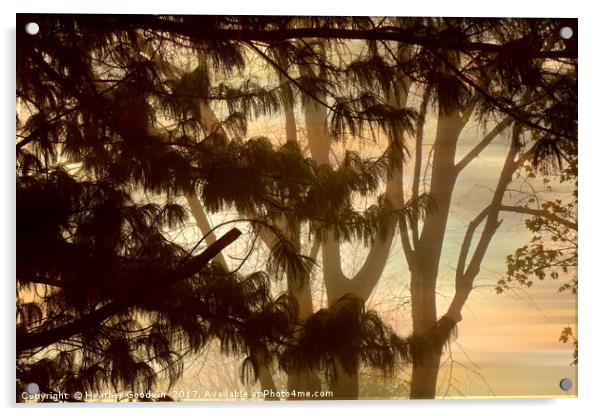 Misty Tangle Acrylic by Heather Goodwin