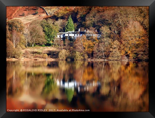 "Autumn reflections at Thirlmere 4 " Framed Print by ROS RIDLEY