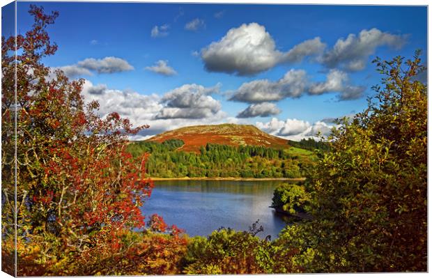 Burrator and Sheepstor In Autumn                   Canvas Print by Darren Galpin