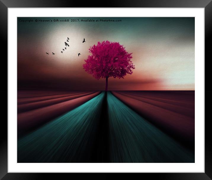 The Little Pink Tree  Framed Mounted Print by Heaven's Gift xxx68