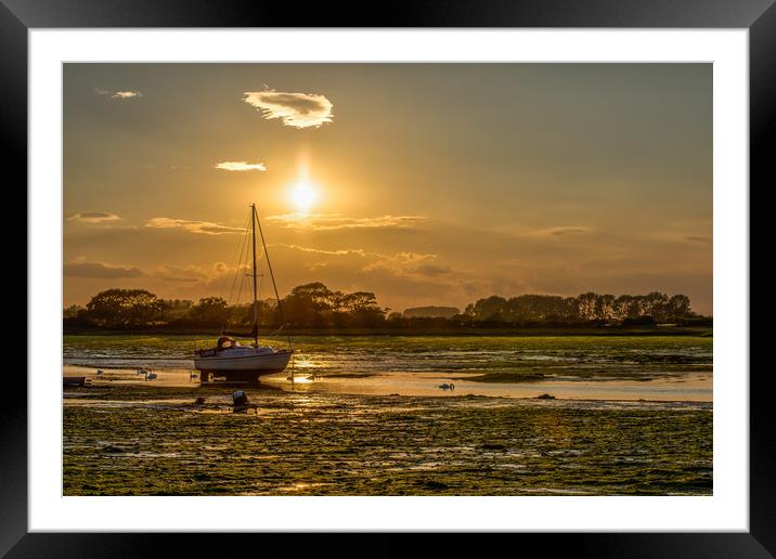 LARUS At Low Tide Framed Mounted Print by Colin Stock