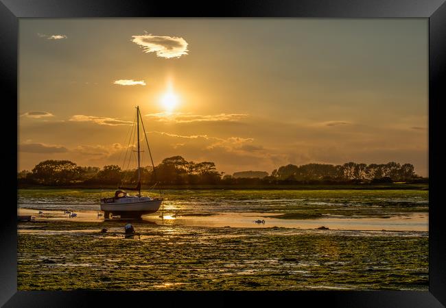 LARUS At Low Tide Framed Print by Colin Stock