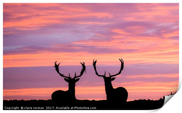stags at sunset Print by claire norman