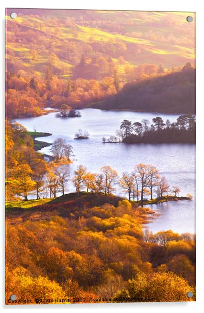 Rydal Water Acrylic by Chris Harris