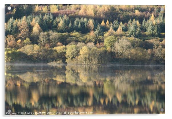 Llwyn-onn reservoir, South Wales, UK, during morni Acrylic by Andrew Bartlett