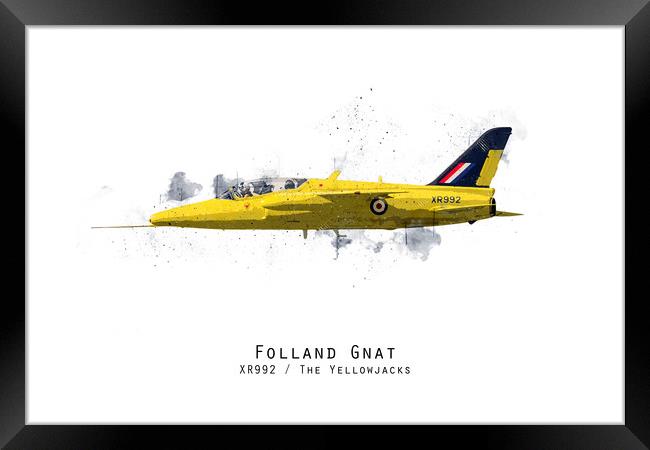 Gnat Sketch - Yellowjacks Framed Print by J Biggadike