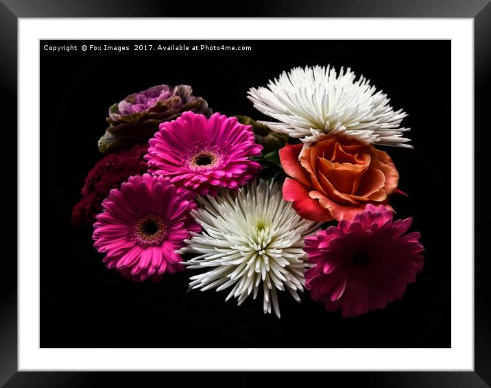 Flowers in the dark Framed Mounted Print by Derrick Fox Lomax