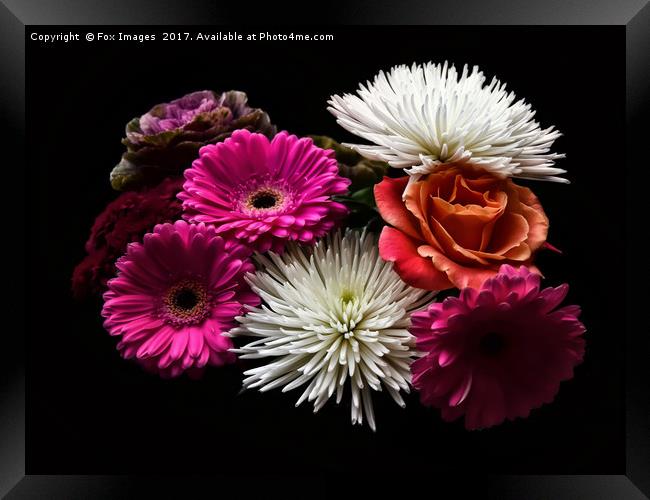 Flowers in the dark Framed Print by Derrick Fox Lomax