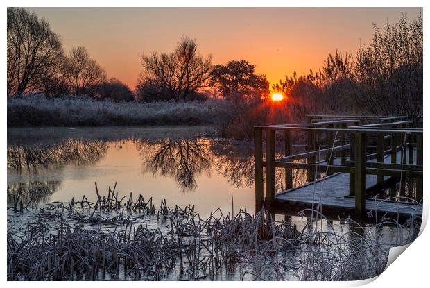 Sunrise over the pond Print by Chantal Cooper