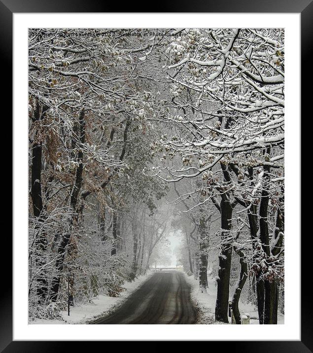 Winters Lane Framed Mounted Print by Karl Lawrence
