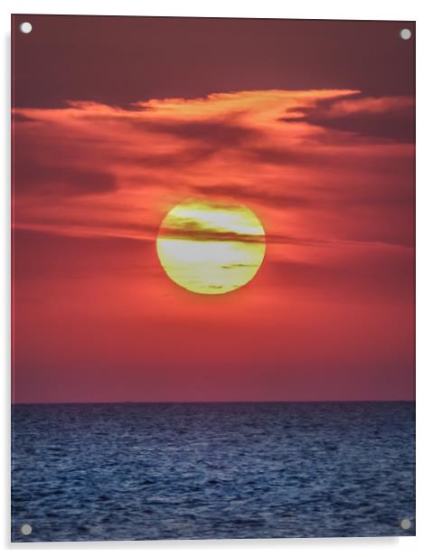 Sunset Velvet  Acrylic by Steve Lansdell