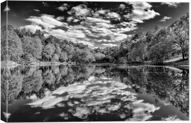 Reflections at Wyndhams Canvas Print by Colin Stock