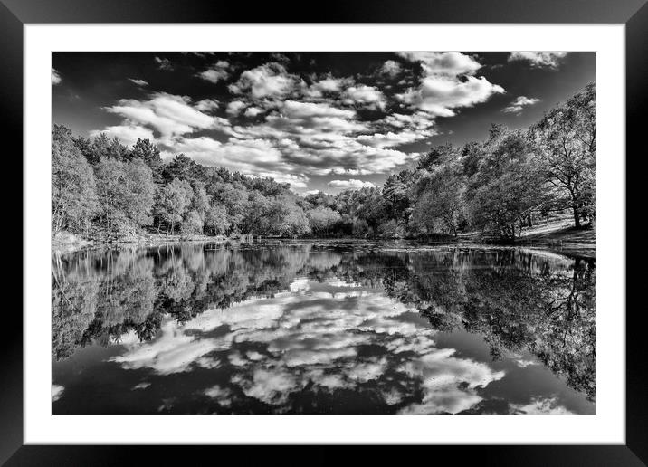 Reflections at Wyndhams Framed Mounted Print by Colin Stock